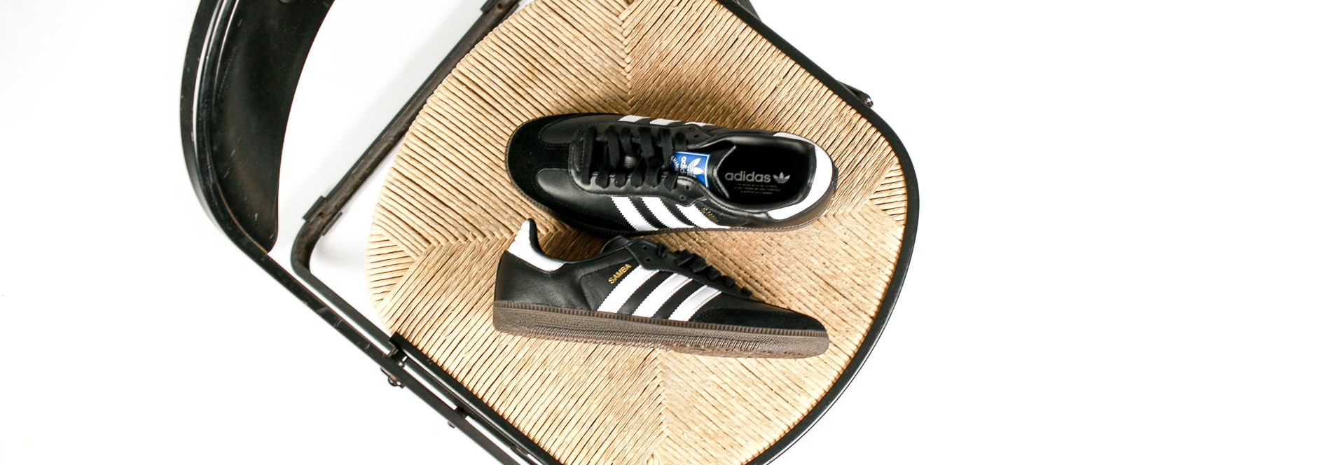 gazelle